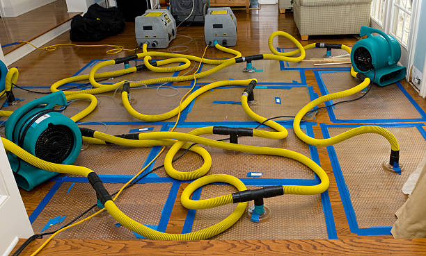 Professional Storm Water Damage Restoration technician working in Steward, IL